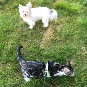 Meet your Posher, Janie